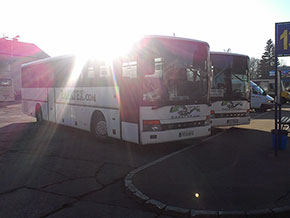 wynajem busów Nowy Sącz